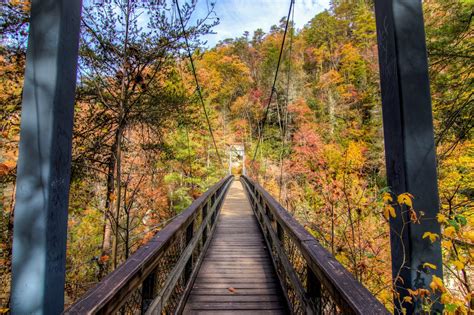 The best walking trails in Albany County, according to All Trails